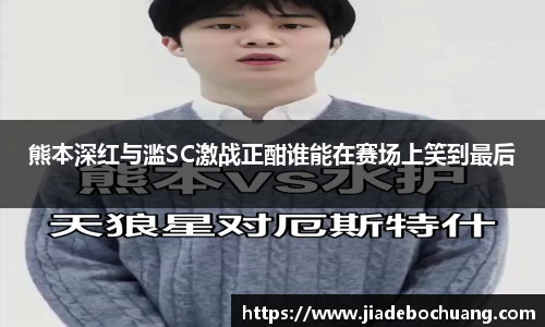 必一bsports